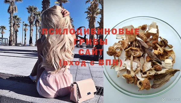 а пвп мука Алексеевка