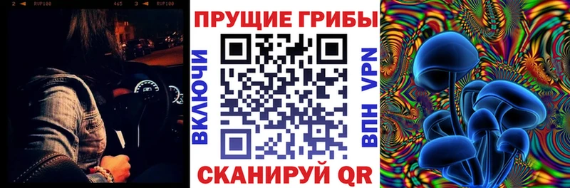 Галлюциногенные грибы Psilocybine cubensis  как найти   Богучар 
